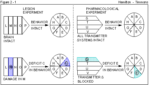 Figure 2 - 1
