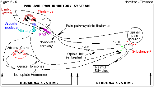 Figure 5 - 6