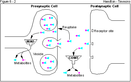 Figure 6 - 2
