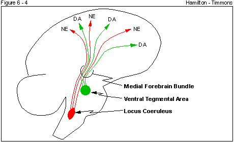 Figure 6 - 4