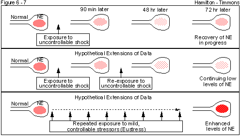 Figure 6 - 7