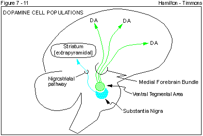Figure 7 - 11