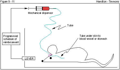 Figure 9 - 11