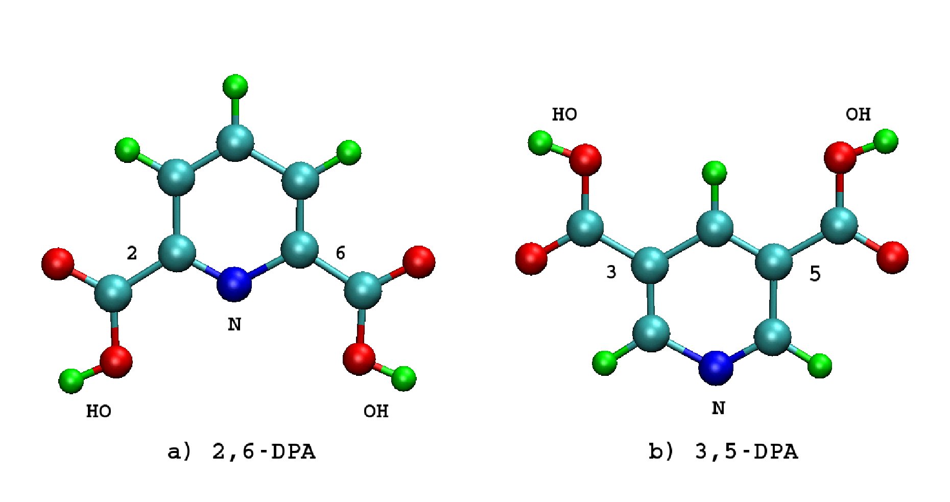 Two isomers of dipicolinc acid